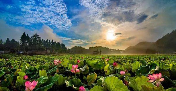 86dc178b4b.png 圖片1.png